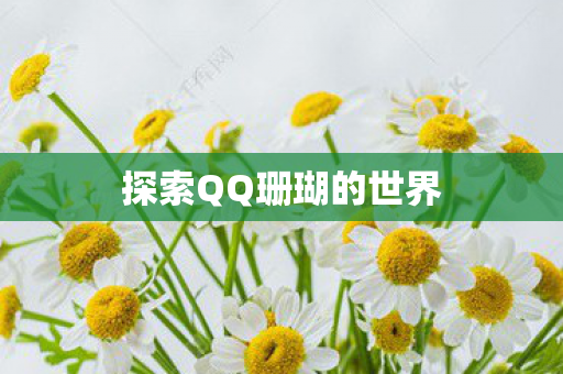 探索QQ珊瑚的世界图片