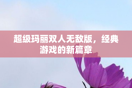 超级玛丽双人无敌版图片