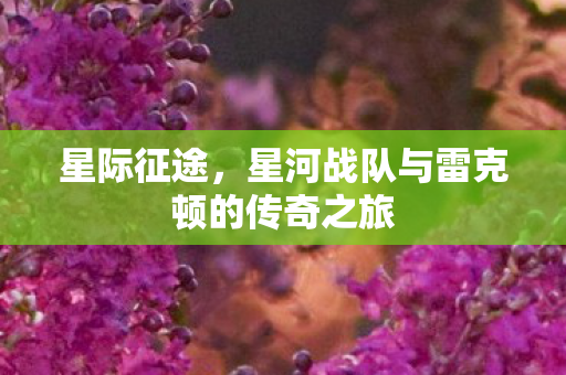 星河战队与雷克顿的传奇之旅图片