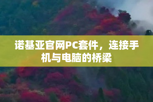 连接手机与电脑的桥梁图片