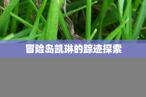 冒险岛凯琳的踪迹探索图片