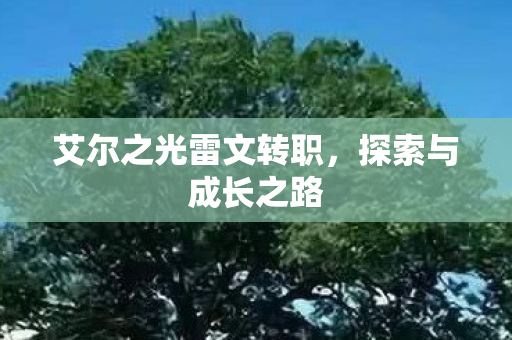 艾尔之光雷文转职图片