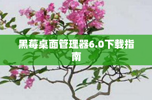 黑莓桌面管理器6图片