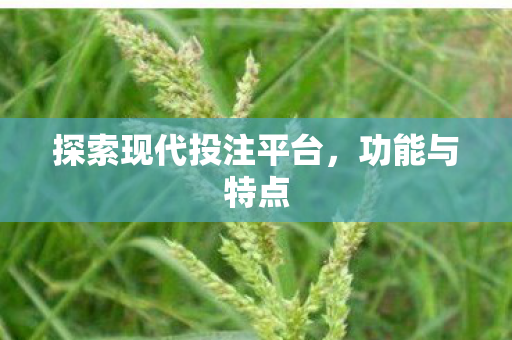 探索现代投注平台图片