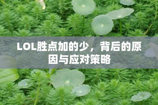背后的原因与应对策略图片