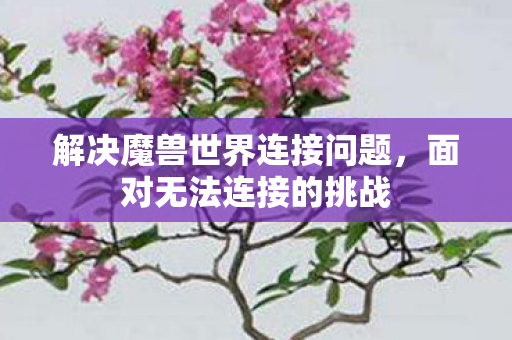 解决魔兽世界连接问题图片