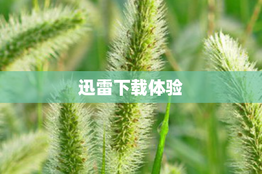 迅雷下载体验图片