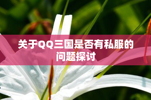 关于QQ三国是否有私服的问题探讨图片
