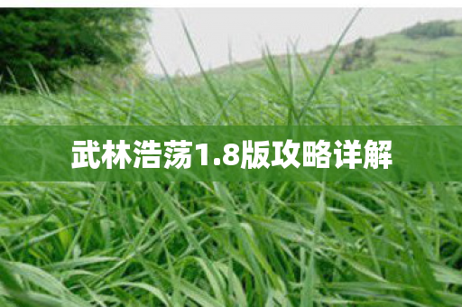 8版攻略详解图片