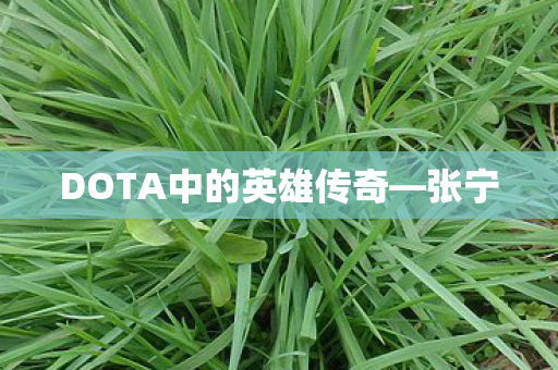 DOTA中的英雄传奇图片