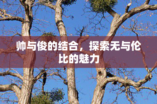 探索无与伦比的魅力图片