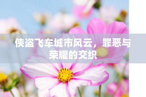 侠盗飞车城市风云图片