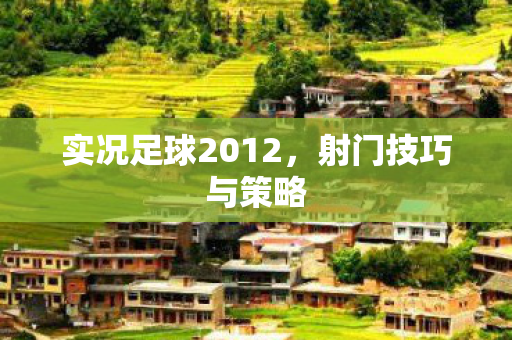 实况足球2012图片