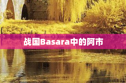 战国Basara中的阿市图片