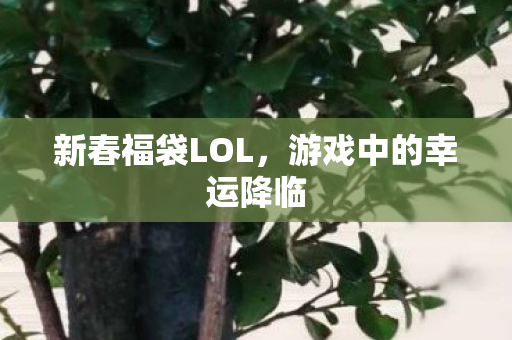 游戏中的幸运降临图片