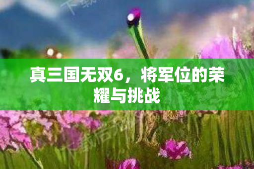 将军位的荣耀与挑战图片