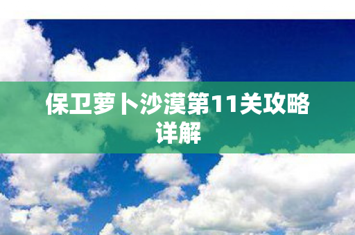 保卫萝卜沙漠第11关攻略详解图片