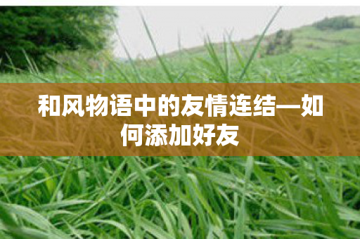 和风物语中的友情连结图片