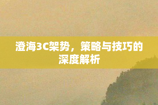 策略与技巧的深度解析图片