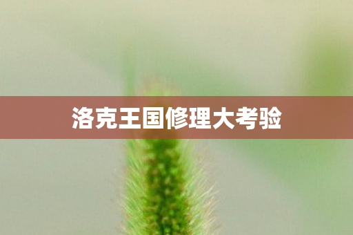 洛克王国修理大考验图片