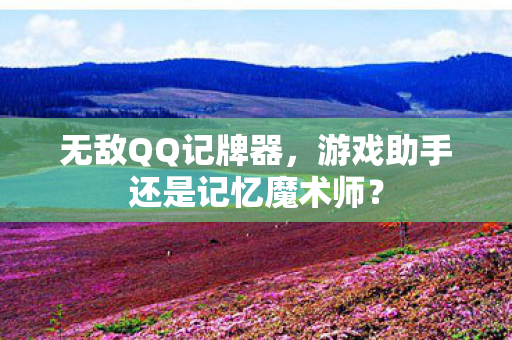 游戏助手还是记忆魔术师图片
