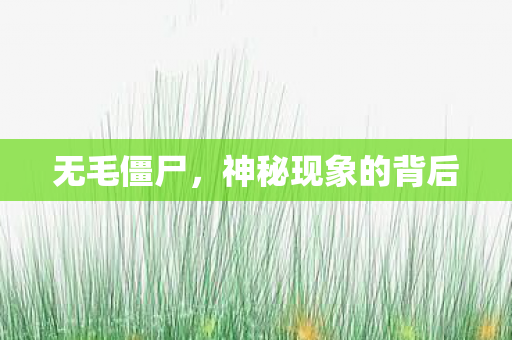 神秘现象的背后图片