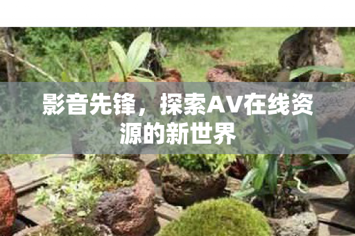 探索AV在线资源的新世界图片