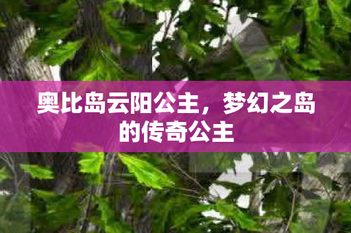 梦幻之岛的传奇公主图片