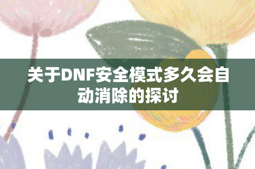 关于DNF安全模式多久会自动消除的探讨图片