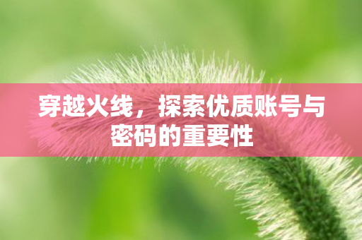 探索优质账号与密码的重要性图片