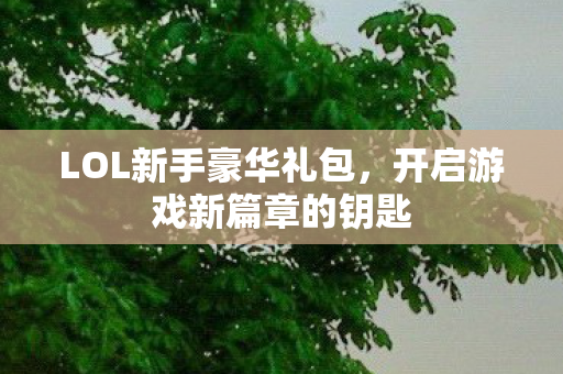 开启游戏新篇章的钥匙图片