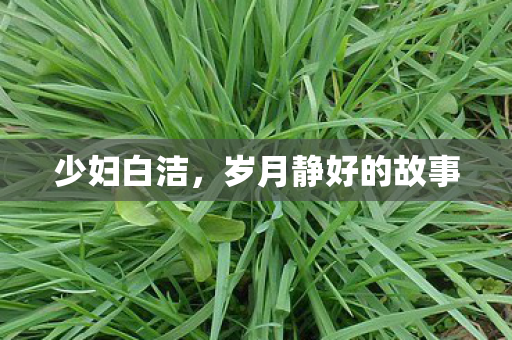 岁月静好的故事图片