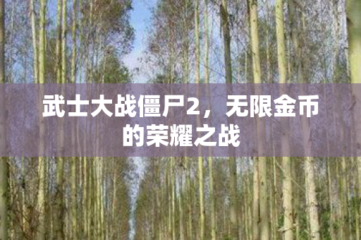 无限金币的荣耀之战图片