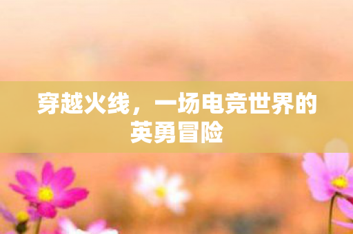 一场电竞世界的英勇冒险图片