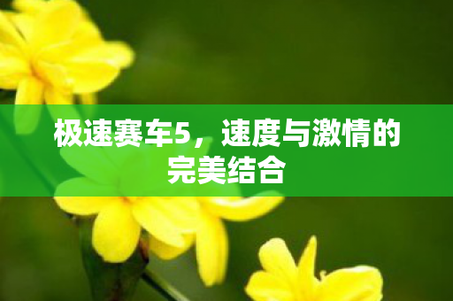 速度与激情的完美结合图片