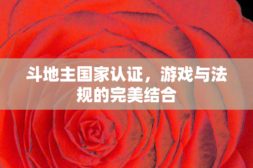 游戏与法规的完美结合图片