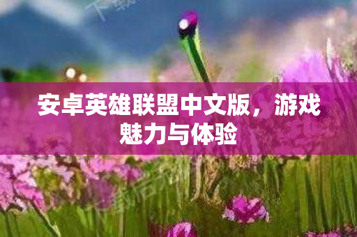 安卓英雄联盟中文版图片