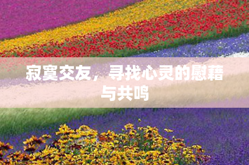 寻找心灵的慰藉与共鸣图片