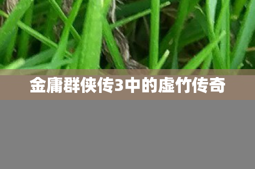 金庸群侠传3中的虚竹传奇图片