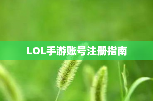 LOL手游账号注册指南图片