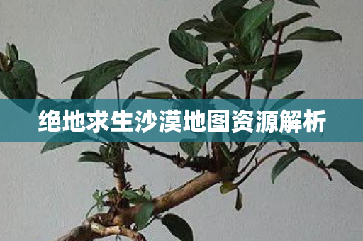 绝地求生沙漠地图资源解析图片