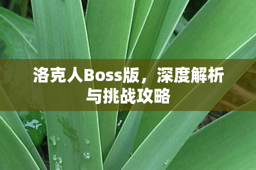 深度解析与挑战攻略图片