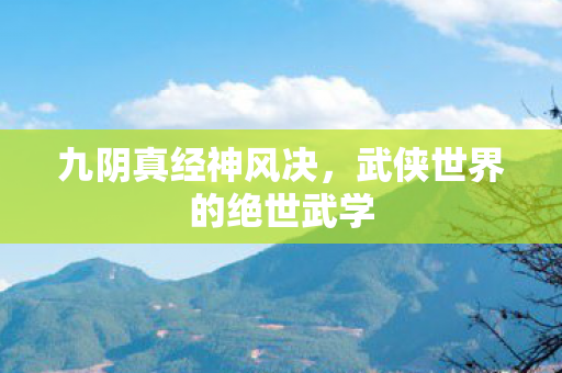武侠世界的绝世武学图片
