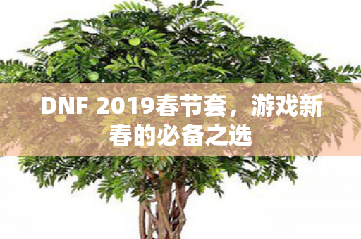 DNF 2019春节套图片