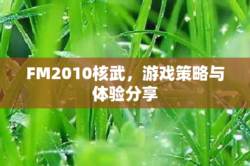 游戏策略与体验分享图片