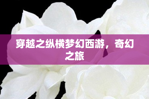 穿越之纵横梦幻西游图片