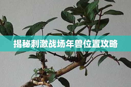 揭秘刺激战场年兽位置攻略图片