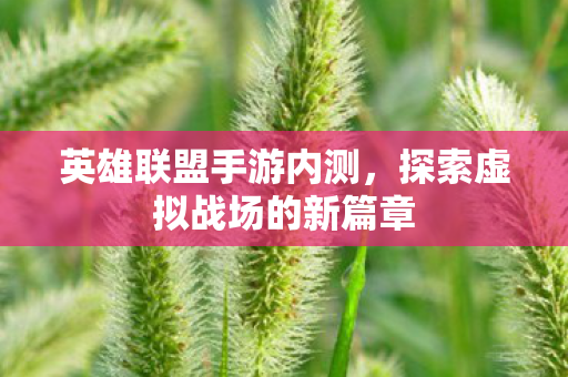 探索虚拟战场的新篇章图片