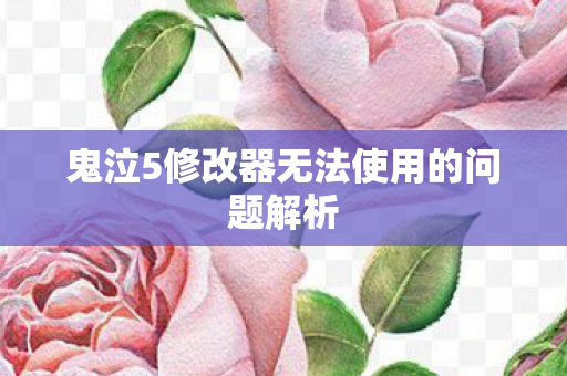 鬼泣5修改器无法使用的问题解析图片