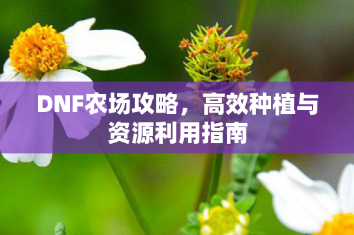 高效种植与资源利用指南图片
